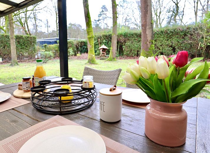 Guest house 051011 - Holiday property Limburg - Sonnig Bungalow