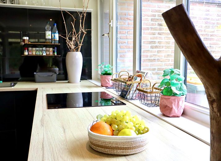 Guest house 051011 - Holiday property Limburg - Sonnig Bungalow