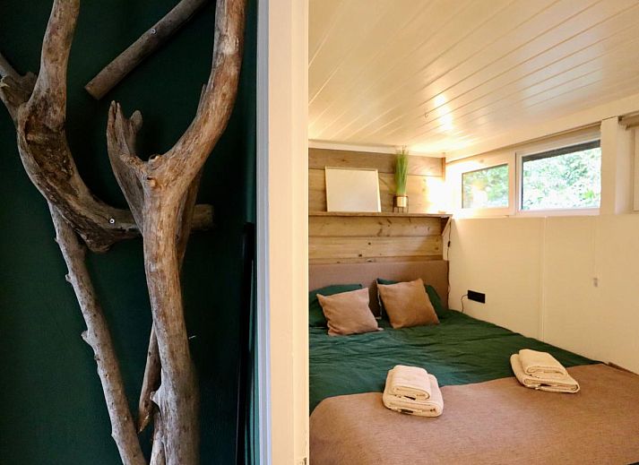 Guest house 051011 - Holiday property Limburg - Sonnig Bungalow