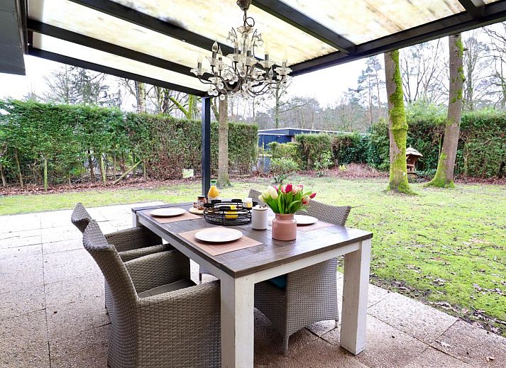 Guest house 051011 - Holiday property Limburg - Sonnig Bungalow