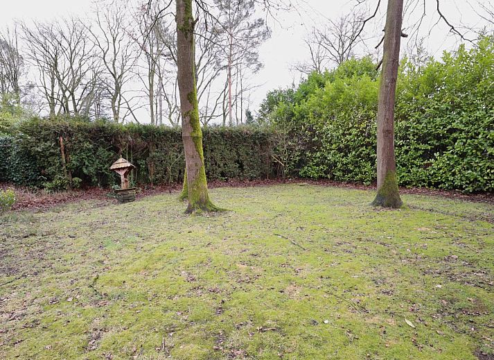 Guest house 051011 - Holiday property Limburg - Sonnig Bungalow