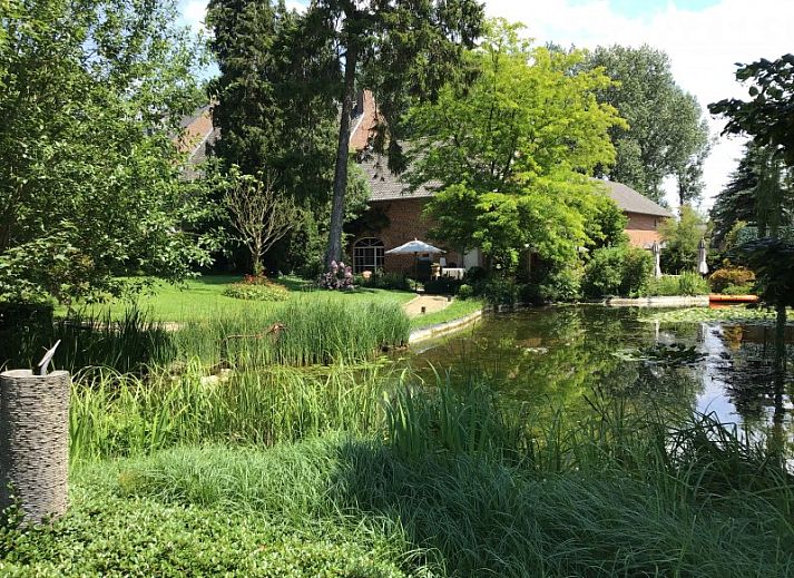 Guest house 052604 - Holiday property Limburg - Standaard woning
