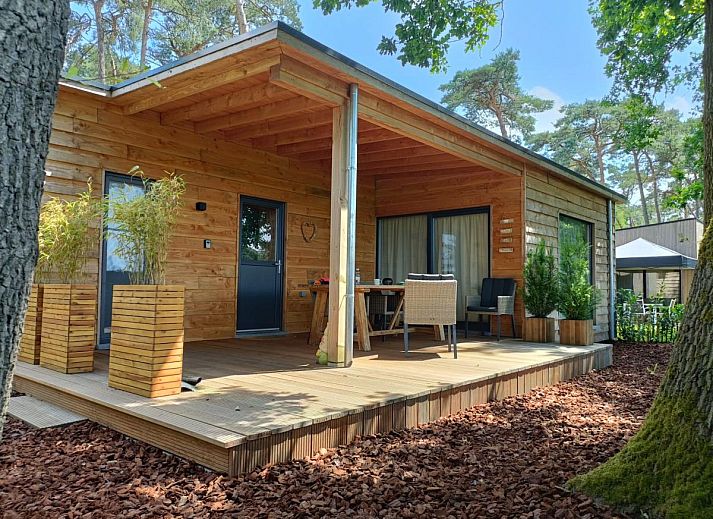 Guest house 055015 • Chalet Limburg • Veldzicht