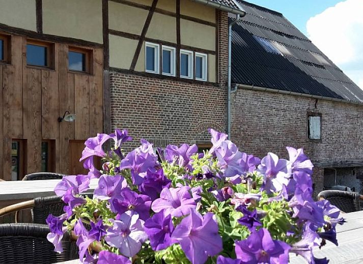 Guest house 056706 • Holiday property Limburg • Middelhof 