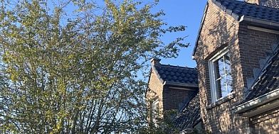 Verblijf 017705 - Vakantiewoning West-Vlaanderen - Maison Francois