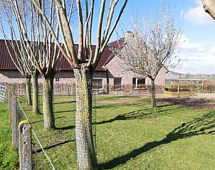 Guest house 0123404 • Holiday property West Flanders • Vakantiehuis in Ingooigem/Anzegem 