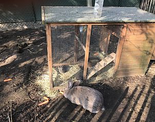 Verblijf 020402 - Vakantiewoning Oost-Vlaanderen - Bvba kitty