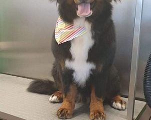 Verblijf 020402 - Vakantiewoning Oost-Vlaanderen - Bvba kitty