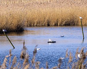 Verblijf 020404 - Vakantiewoning Oost-Vlaanderen - Casa Rosalie