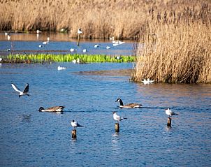 Verblijf 020404 - Vakantiewoning Oost-Vlaanderen - Casa Rosalie