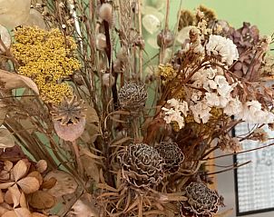 Verblijf 029111 - Vakantiewoning Oost-Vlaanderen - Vakantiehuisje in Wachtebeke