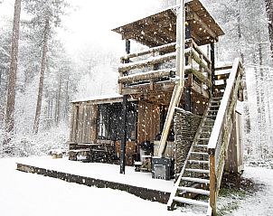 Verblijf 0513306 • Vakantiewoning Limburg • Treetrunk met hottub 