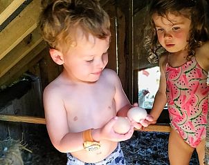 Verblijf 059501 - Vakantiewoning Limburg - Vakantiehuis in Riemst Millen