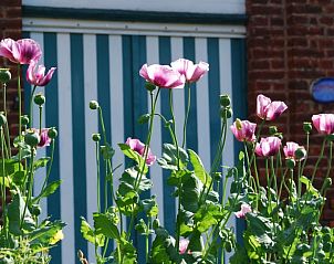 Verblijf 0659407 - Vakantiewoning Ardennen (Luik) - Vakantiehuis in Mortier